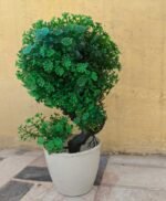 Artificial Green  Plant Decoration Piece with pot Best for home & Office Decoration - Image 2