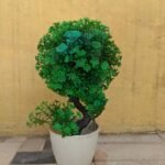 Artificial Green  Plant Decoration Piece with pot Best for home & Office Decoration