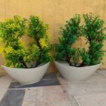 Artificial Plant Decoration Piece with pot Best for home & Office Decoration