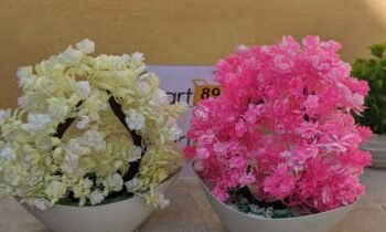 pack of 2 artificial plants 1