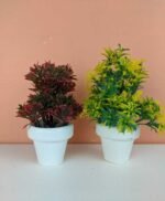 Pack of 2 Stylish Home Decor Artificial Plant Set same as picture - Image 6
