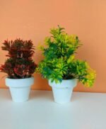 Pack of 2 Stylish Home Decor Artificial Plant Set same as picture - Image 7