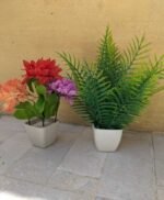 Pack of 2 Different plant & pot same as picture - Image 4