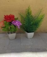 Pack of 2 Different plant & pot same as picture - Image 3