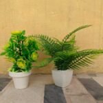 Pack of 2 Different plant Green & Light Green  flower
