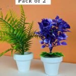Pack of 2 Different plant Green & purple flower