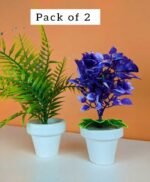 Pack of 2 Different plant Green & purple flower