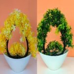 Pack of Two heart shaped plant Green yellow