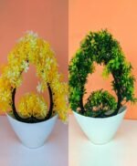 Pack of Two heart shaped plant Green yellow